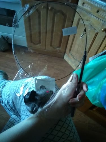 Customer photo review of Interactive Cat Toy Funny Simulation Feather for Kitten Playing Teaser Wand