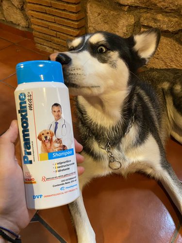 Customer photo review of Pramoxine Max® Shampoo