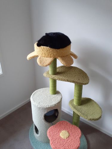 Customer photo review of ZEZE Sisal Scratching Posts with Flower and Leaf Platform