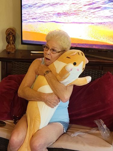 Customer photo review of Long Cat Plush