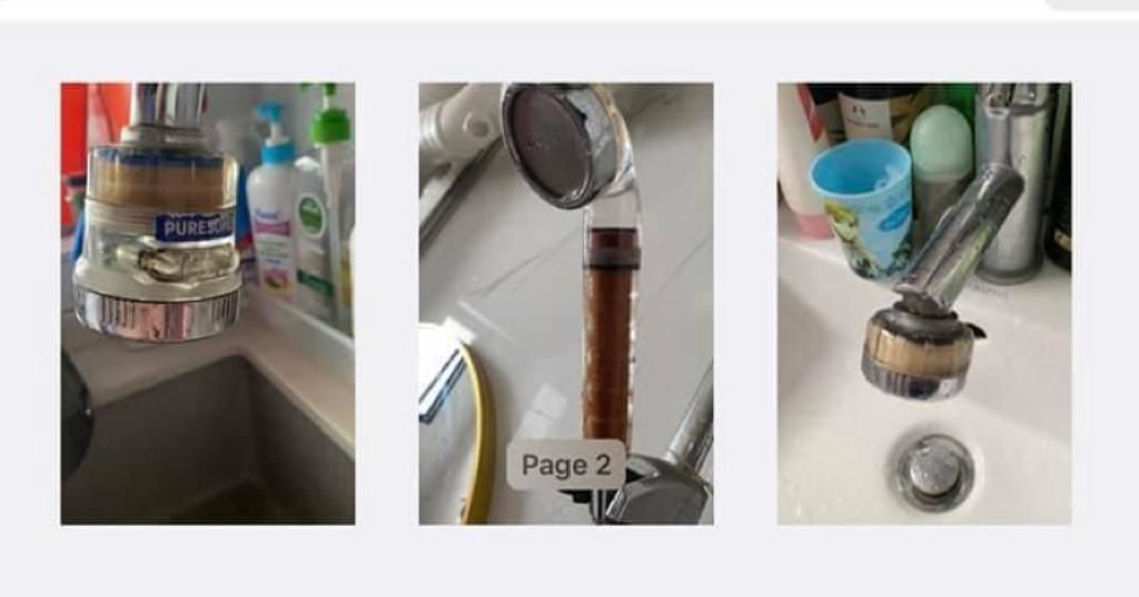 Customer photo review of Bodyluv Puresome Filter