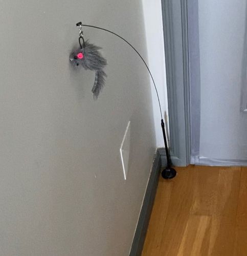 Customer photo review of Interactive Cat Toy Funny Simulation Feather for Kitten Playing Teaser Wand
