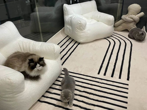 Customer photo review of Beige Modern Abstract Area Rug  , Art Deco