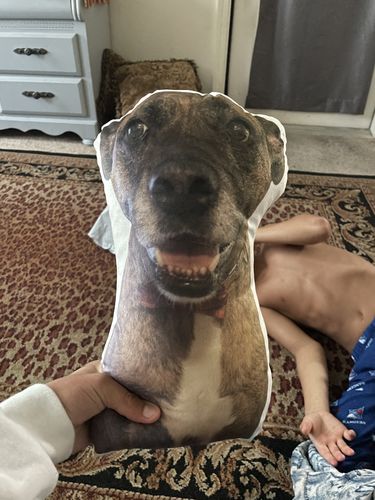 Customer photo review of Create A Custom Dog Pillow