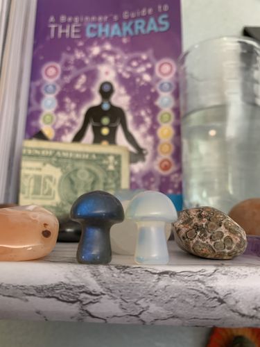 Customer photo review of Opalite + Labradorite Mini Mushroom Duo