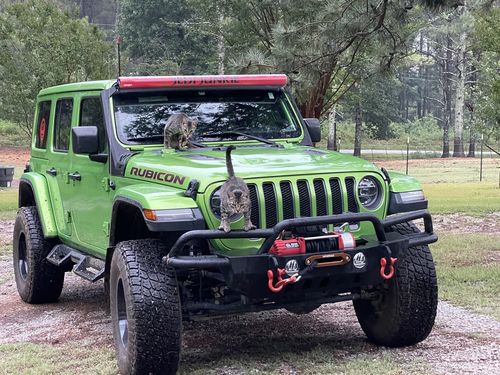 Customer photo review of 50 - 52 inch Dual Row Custom Insert