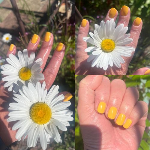 Customer photo review of Bluesky SS2108 Killer Instinct