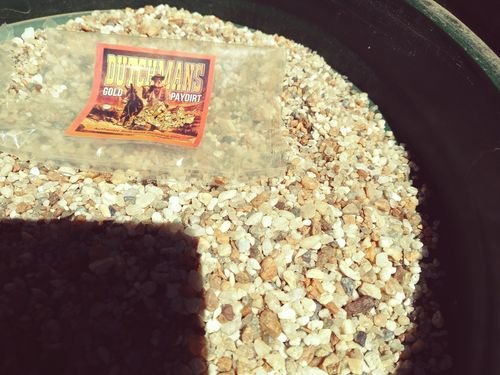 Customer photo review of Treasure Paydirt Surprise '300 GRAM GOLD HUNT' - Gold Paydirt Panning Concentrates