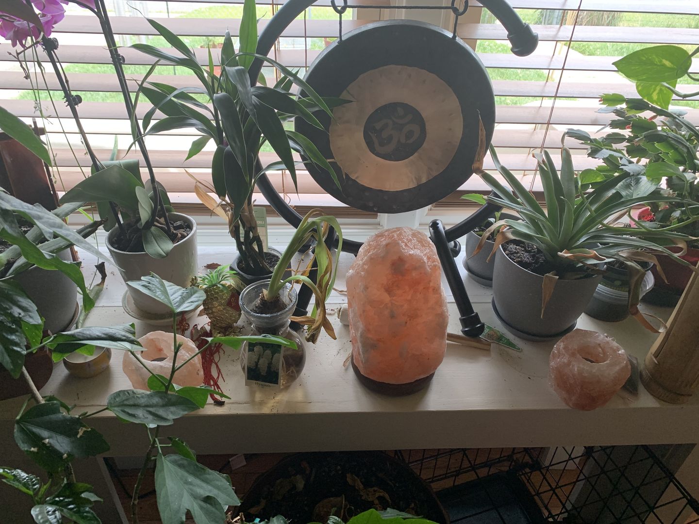Customer photo review of Himalayan Salt Tealight Natural Candle Holders (Pack of 2)