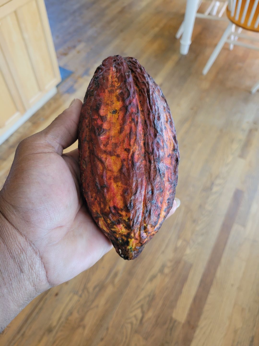 Customer photo review of Cacao (Chocolate) Box