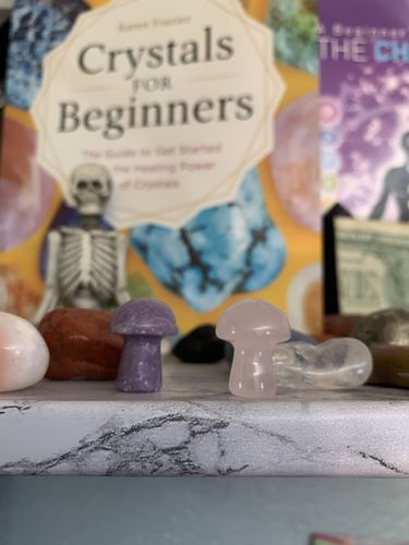 Customer photo review of Rose Quartz & Lepidolite Mini Mushroom Duo