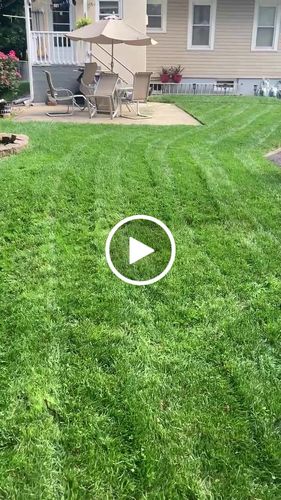 Customer video review of Protene Performance Spring Fertilizer