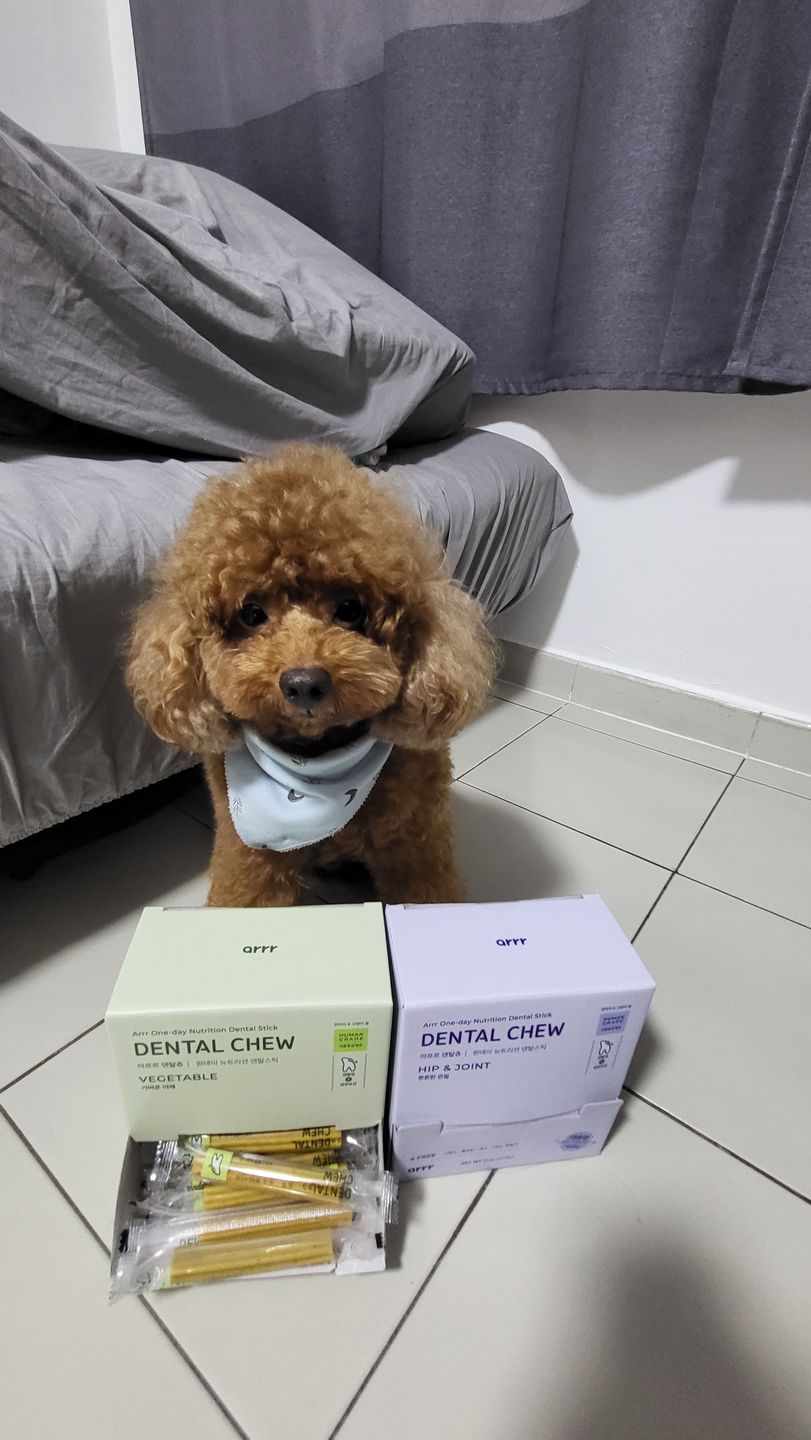 Customer photo review of Dental Chew (Large Package)