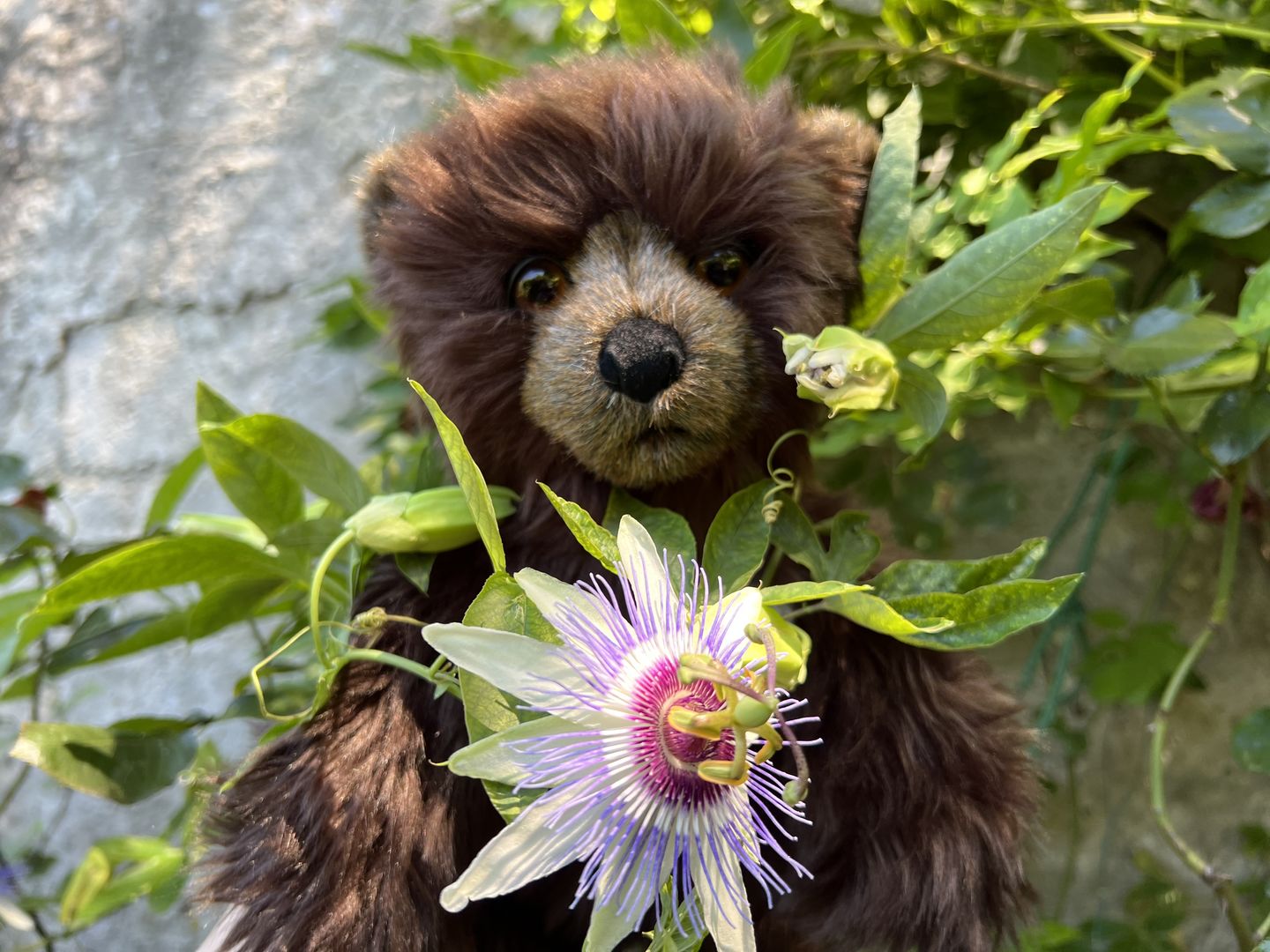 Customer photo review of Ma peluche Ours brun Gabin