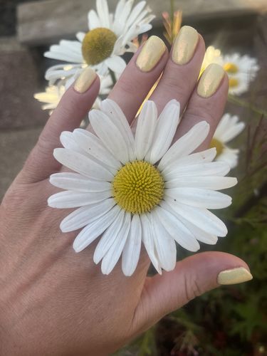 Customer photo review of Bluesky SS2103 Virtuoso Air