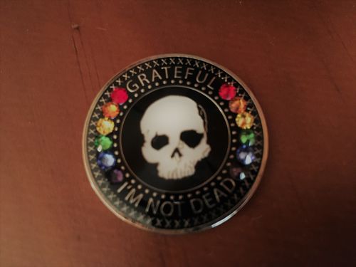 Customer photo review of Grateful I'm Not Dead AA/NA Crystallized Recovery Medallion - Black / Swarovski Rainbow