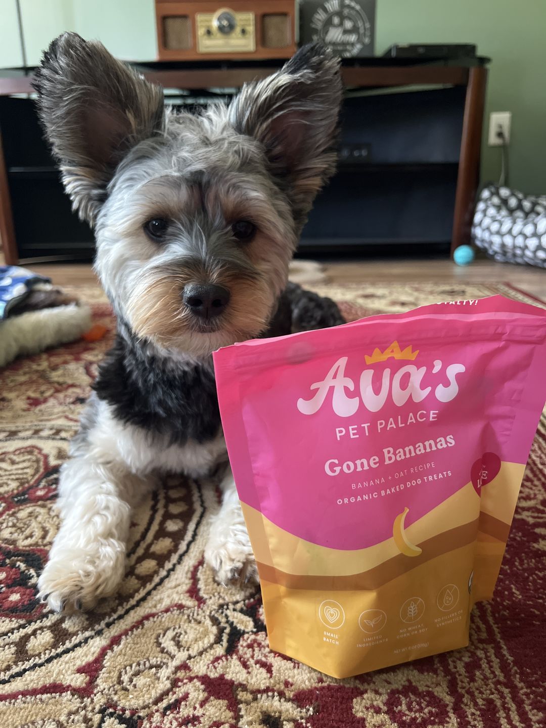 Customer photo review of Organic Baked Dog Treats - Gone Bananas