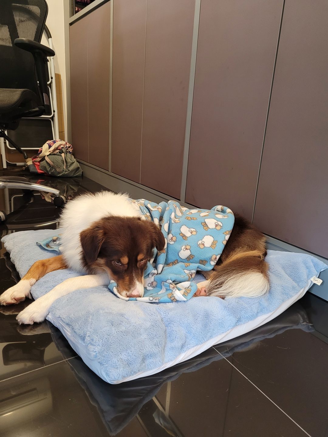 Customer photo review of Sleeping Blanket