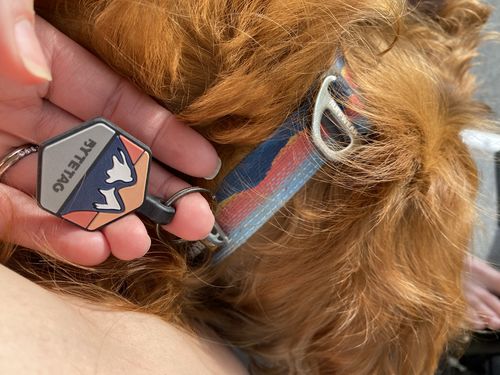 Customer photo review of Explorer Silicone