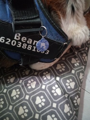 Customer photo review of Fetch