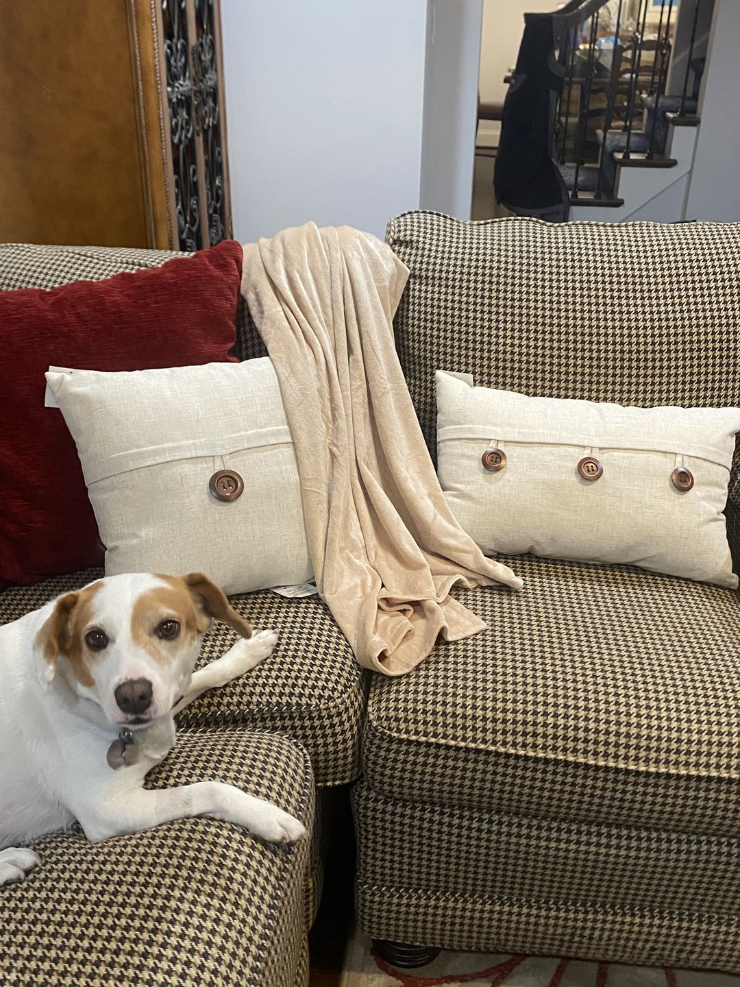 Customer photo review of BiggerBee Throw Blanket Solid Camel