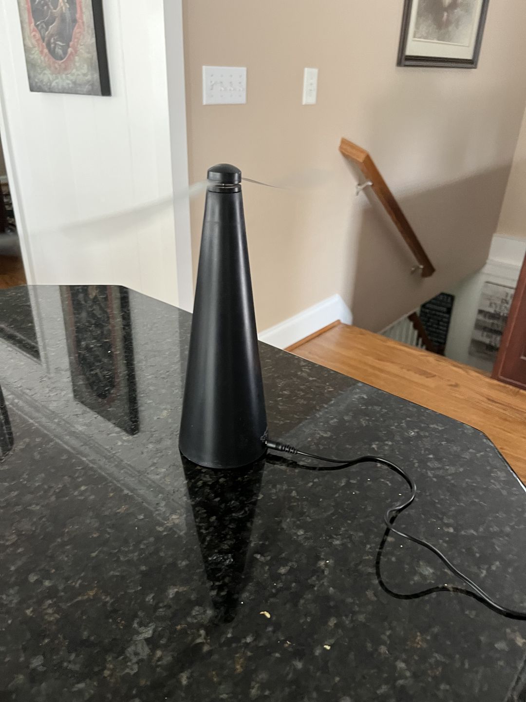 Customer photo review of Fly, Mosquito, and Pest Repellent Fan - Buy One Get One 50% Off