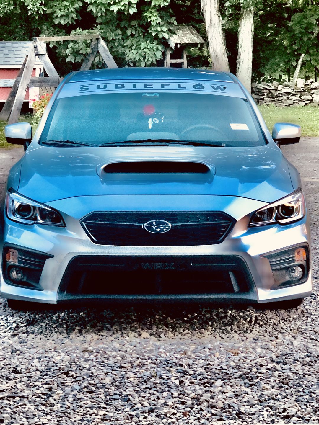 Customer photo review of Reverse Cut Windshield Banners