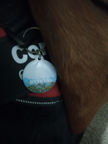 Customer photo review of Explorer