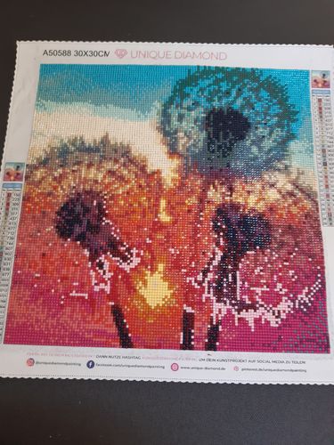 Customer photo review of 5D Diamond Painting 3 Pusteblumen bei Sonnenuntergang