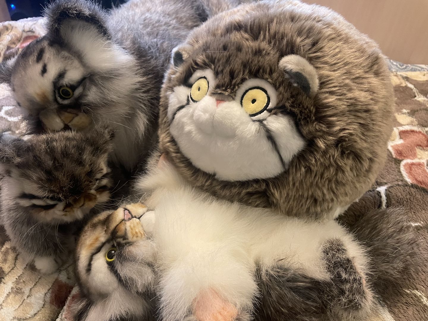 Customer photo review of Chubby Pallas's cat Stuffed Animal Plush