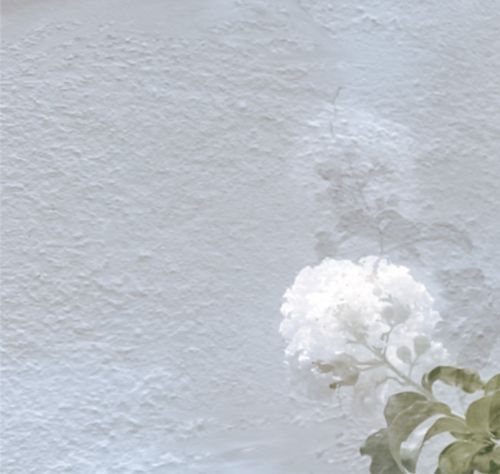 Customer photo review of NATURAL LIGHTROOM PRESETS