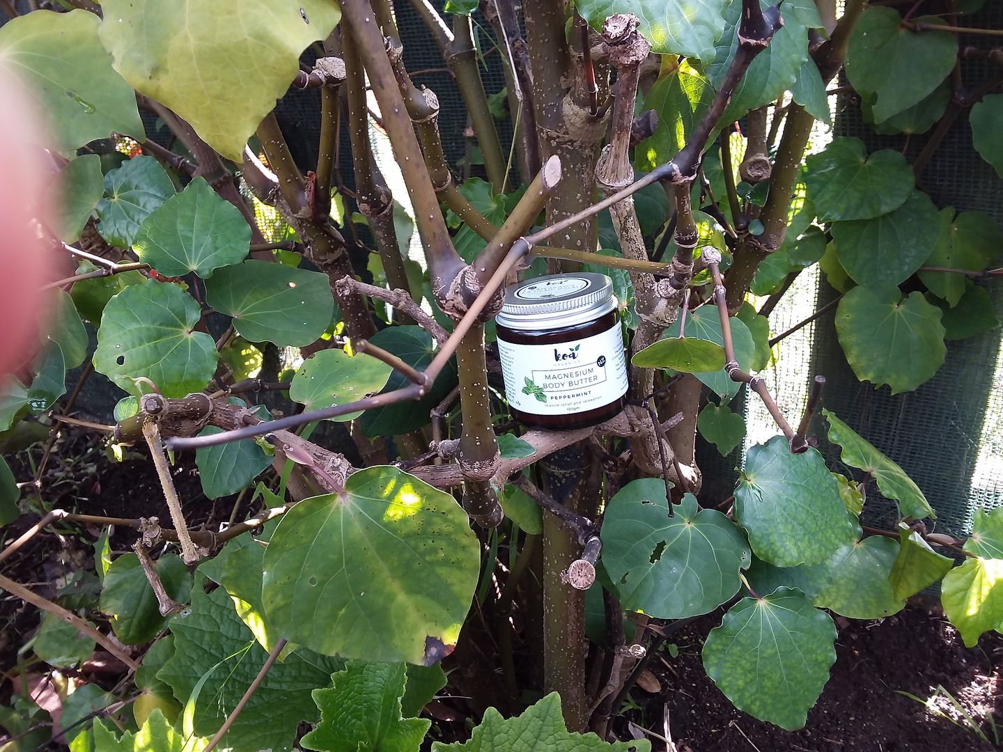 Customer photo review of Magnesium Body Butter with Peppermint