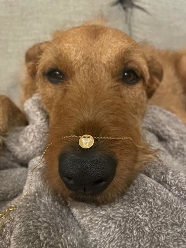 Customer photo review of Custom Love Necklace