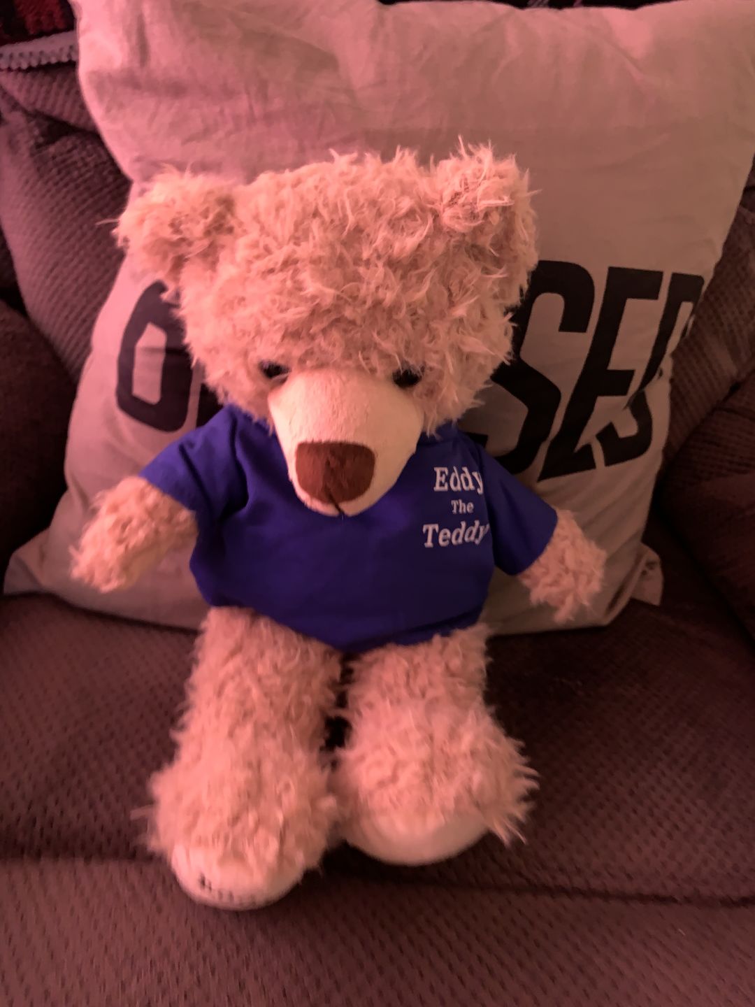Customer photo review of Eddy The Teddy Bear