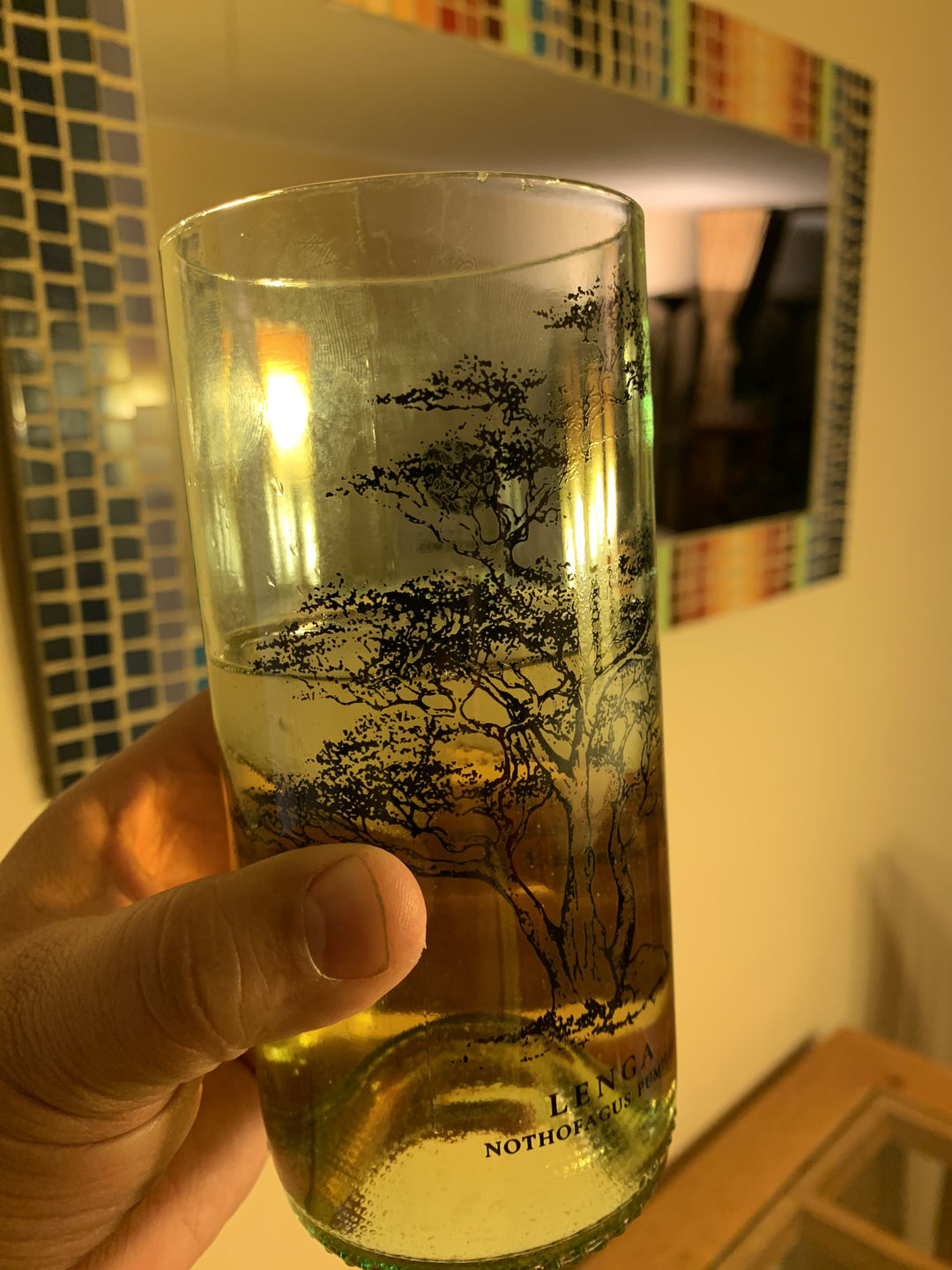 Customer photo review of Juego de 6 Vasos Árboles de Chile