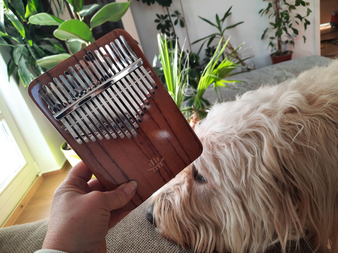 Customer photo review of Sonodrum Kalimba - Sonolimba - Afrikanisches Korallenholz