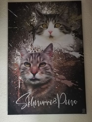 Customer photo review of Graffiti Pawtrait
