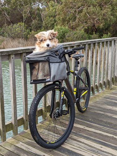 Customer photo review of All In One Pet Carrier Bag | Dog Bike Basket | Backpack for Dogs & Cats | Car Booster Seat