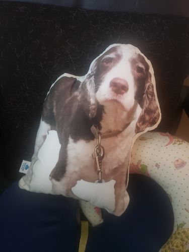 Customer photo review of Create A Custom Dog Pillow
