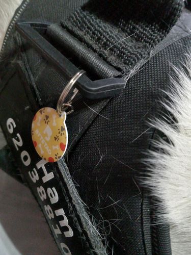 Customer photo review of Polkadog