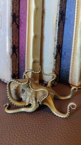 Customer photo review of Brass Octopus Phone Holder
