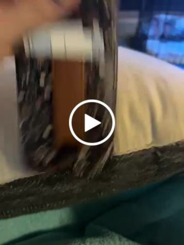 Customer video review of Midnight Floral