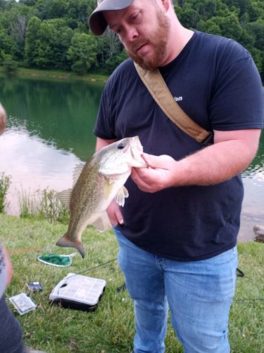 Customer photo review of Headbanger RockerHead 3-pack