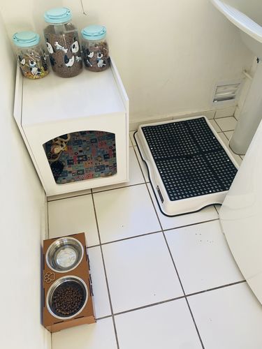 Customer photo review of Weasy Cão