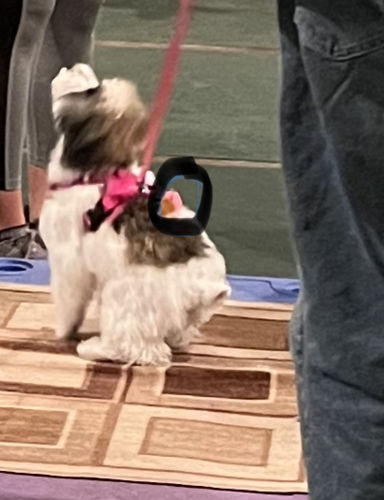 Customer photo review of Pink Silicone