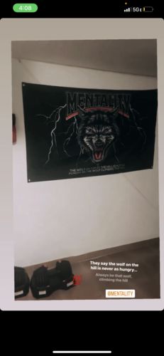 Customer photo review of Wolf Flag