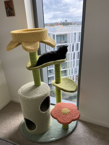 Customer photo review of ZEZE Sisal Scratching Posts with Flower and Leaf Platform
