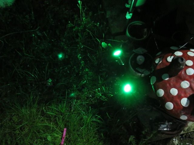 Customer photo review of TSUN Green Solar Spot Lights with Separate