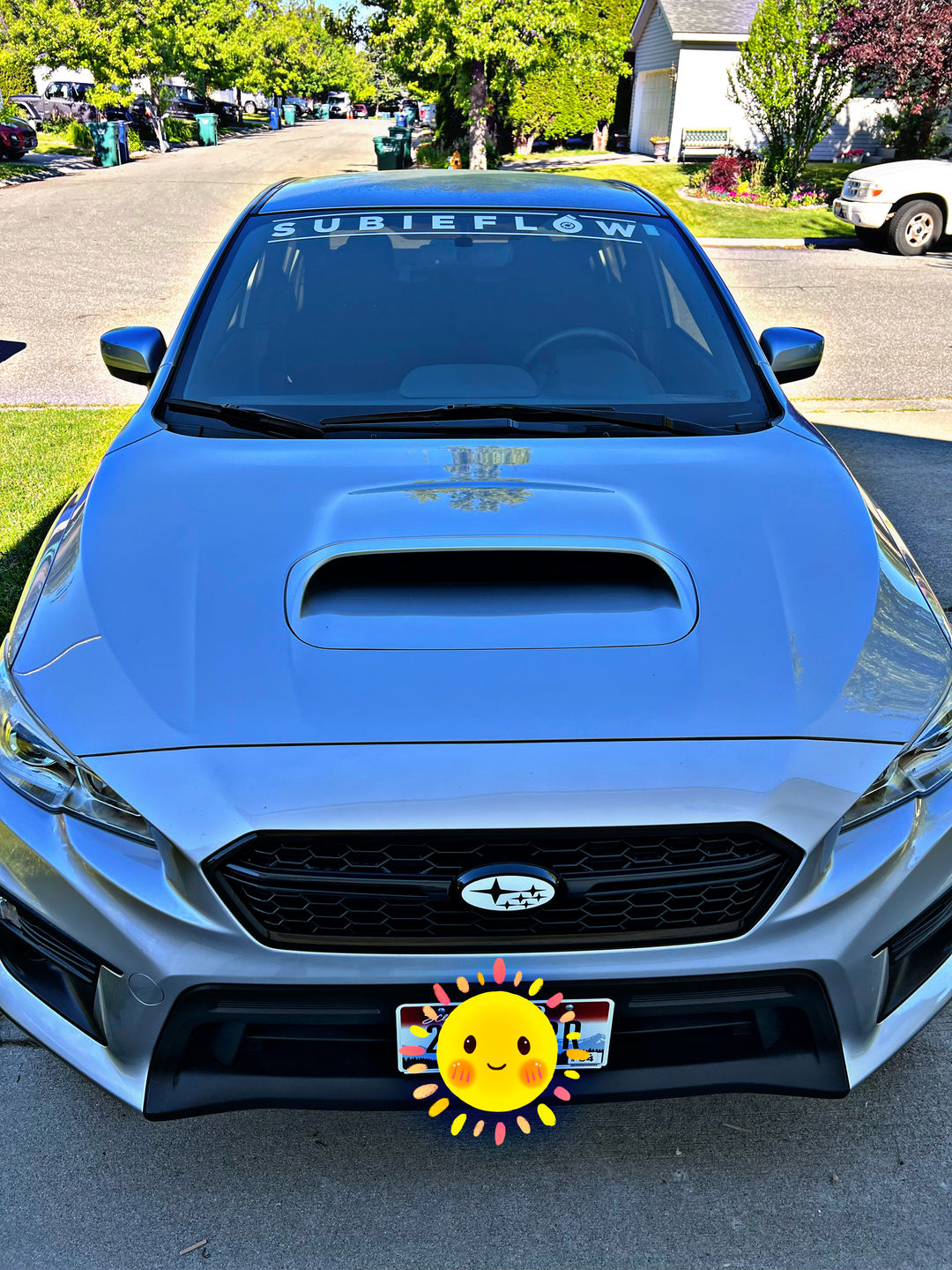 Customer photo review of SubieFlow Windshield Banners