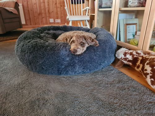 Customer photo review of CalmBed - Motverkar stress & hjälper mot ångest